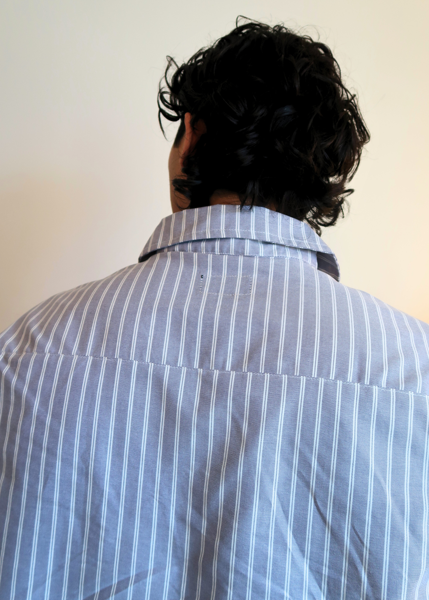 Boxy Crop Half Zip Polo | Windy Stripes